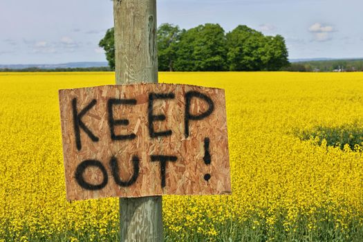 Homemade Keep Out Signs Posted at Edge of Canola Field to Warn Trespassers to Stay Out so crop isn't trampled. The fields draw visitors and tourists for photo opps. High quality photo.