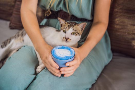 Young woman having a mediterranean breakfast seated at sofa and with her cat and drinks Trendy drink: Blue latte. Hot butterfly pea latte or blue spirulina latte.