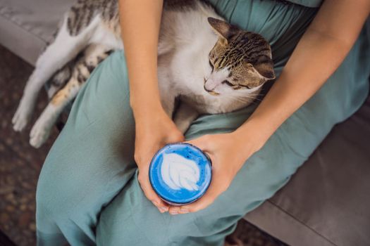 Young woman having a mediterranean breakfast seated at sofa and with her cat and drinks Trendy drink: Blue latte. Hot butterfly pea latte or blue spirulina latte.