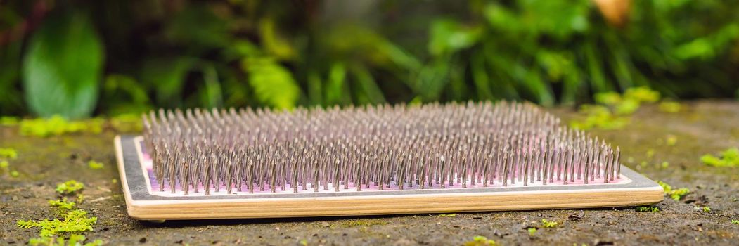 Wooden board with a lot of hammered metal nails. Yoga Tool. BANNER, LONG FORMAT