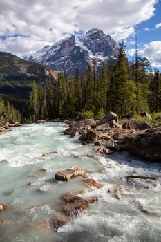 Glacier river in Yoho National Park during a vibrant sunny summer day. Located in British Columbia, Canada.