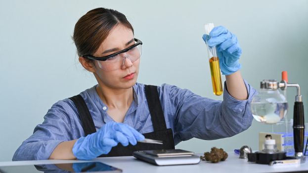 Scientist holding a test tube of cannabis oil. Herbal alternative medicine, cbd oil, pharmaceutical industry concept.