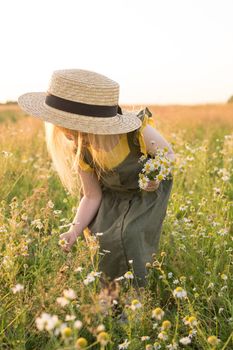 A little blonde girl in a straw hat walks in a field with a bouquet of daisies. The concept of walking in nature, freedom and an eco-friendly lifestyle.