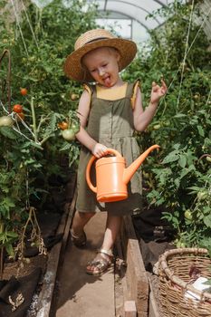 A little girl in a straw hat is picking tomatoes in a greenhouse. Harvest concept. Watering plants with water, caring for tomatoes.