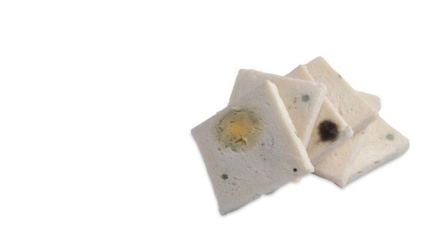 Moldy bread, expired bread isolated on white background with copy space.