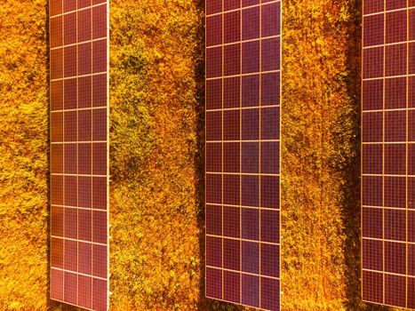 Aerial top view of a solar panels power plant. Photovoltaic solar panels at sunrise and sunset in countryside from above. Modern technology, climate care, earth saving, renewable energy concept