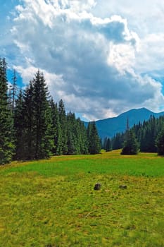 Picturesque mountain landscape. Green grass and blue sky against the backdrop of mountains