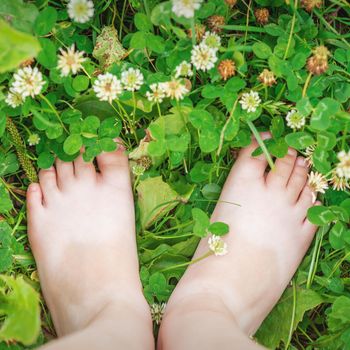 Top view of child barefoot on green grass clover in summer.