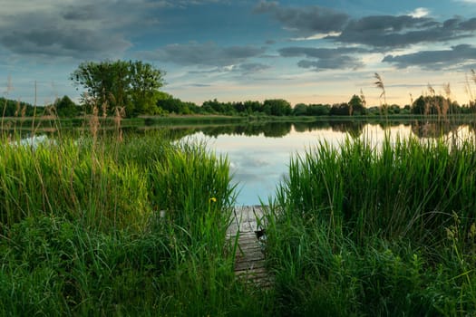 A wooden pier in green reeds on the lake shore and clouds on the sky, Stankow, Lubelskie, Poland