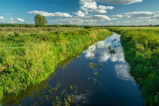 Beautiful view of a small blue river in summer.