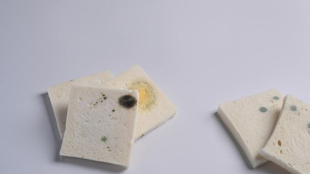 Mold growing rapidly on expired bread isolated on white background.