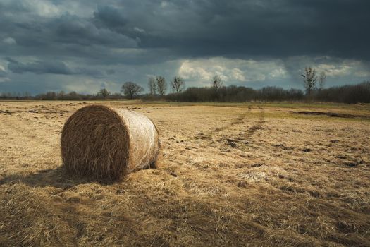 A bale of hay lying on a dry meadow and a cloudy sky, spring view
