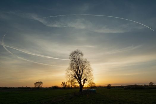 Circular condensation streak over a tree on a meadow during sunset, spring evening