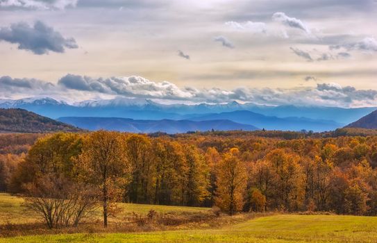 Beautiful landscape with colorful autumn trees with snowy mountains in the background. 