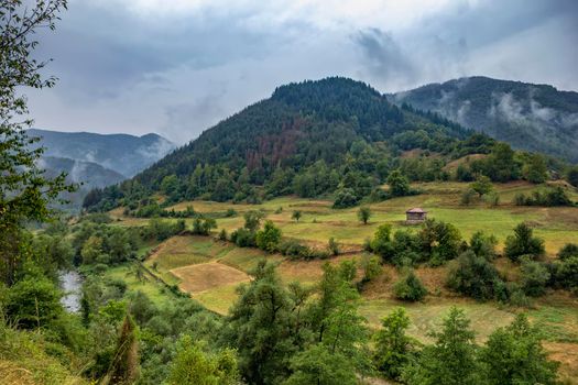 Summer mountain landscape after rain with mist , green meadows and rural house