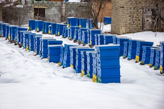 Winter country scene with beehives covered with snow . 