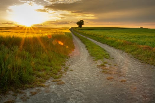 Beautiful rural landscape with sunset over the farmlands and long dirt road