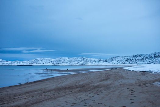 North beach on the Barents sea coast in the Arctic circle in the far North in the Murmansk region Teriberka village in the cold winter.