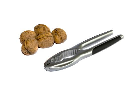 Group of walnuts and nutcracker, isolated on white background