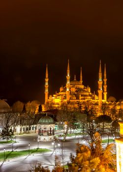 Sultan Ahmed Mosque known as the Blue Mosque is a historic mosque in Istanbul, Turkey at night. Vertical view