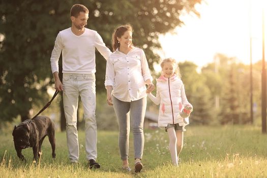 little girl with a pregnant mother,a happy father and a pet dog for a walk in the Park on a spring day.the photo has a space for your text