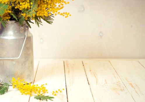 Mimosa flowers in a vintage metal milk can on the rustic white wooden background. Shabby chic style decoration. Selective focus. Space for text. Vintage retro toned