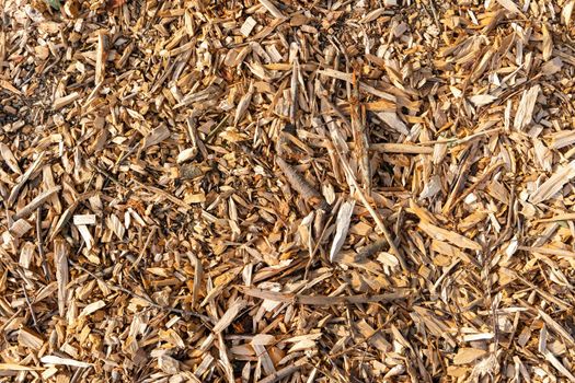 Wood Chips. Natural wood sawdust background. sawdust background close-up, wood sawdust texture. Mulch wood bark material