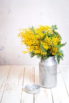 Mimosa flowers in a vintage metal milk can on the rustic white wooden background. Shabby chic style decoration with flowers. Selective focus