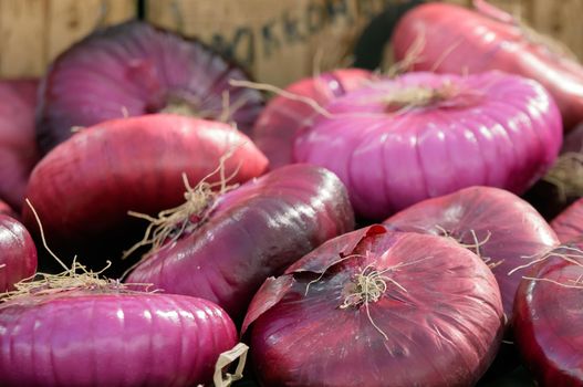 Big red onion for sale at the market, background.