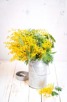 Mimosa flowers in a vintage metal milk can on the rustic white wooden background. Shabby chic style decoration with flowers. Selective focus