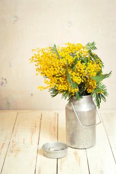 Mimosa flowers in a vintage metal milk can on the rustic white wooden background. Shabby chic style decoration with flowers. Selective focus. Vintage retro toned