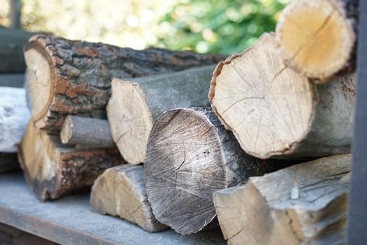 Cut tree for firewood. Background from cut firewood.