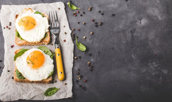 Healthy sandwich with wholegrain bread, fried egg, fresh spinach, thyme on rustic stone background. Space for text. Egg sandwich for morning breakfast. Copy space. Vegetarian lunch/snack. Top view