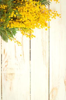 Mimosa flowers bouquet on the rustic white wooden background. Shabby chic style decoration. Selective focus. Space for text. Vintage retro toned