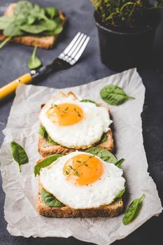 Healthy sandwich with wholegrain toast, fried egg, fresh spinach, thyme on rustic stone background. Egg sandwich for morning breakfast. Clean healthy eating concept. Vegetarian lunch/snack. Close-up