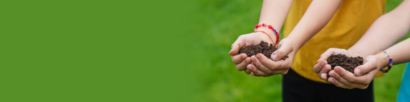 The child holds the soil in his hands. Selective focus. Kid.