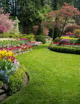 Victoria travel spot Buchart Gardens in Spring blooms