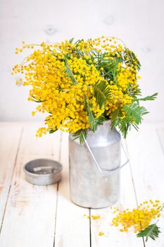 Mimosa flowers in a vintage metal milk can on the rustic white wooden background. Shabby chic style decoration with flowers. Selective focus