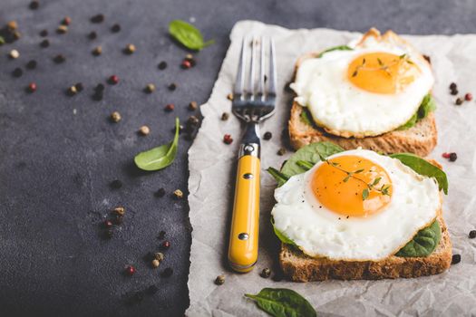 Healthy sandwich with wholegrain bread, fried egg, fresh spinach, thyme on rustic stone background. Space for text. Egg sandwich for morning breakfast. Copy space. Vegetarian lunch/snack. Close-up