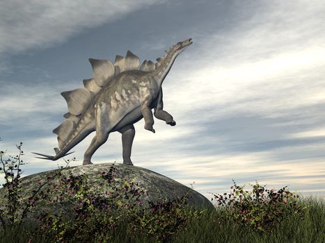 Stegosaurus dinosaur standing and rearing on a rock by day - 3D render
