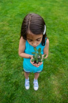The child holds the plant and soil in his hands. Selective focus. Kid.