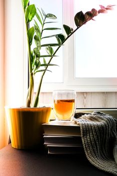 A cup of hot tea with lemon is on the windowsill on a pile of books, steam comes out of the cup. Yellow flower pot with green plant. Sunbeam. Cozy Hygge home on windowsill