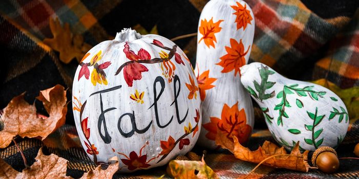 Beautiful painted autumn pumpkins. FALL writing on pumpkin. Autumn harvest. DIY. Autumn leaves season sweater cozy, hygge home decoration