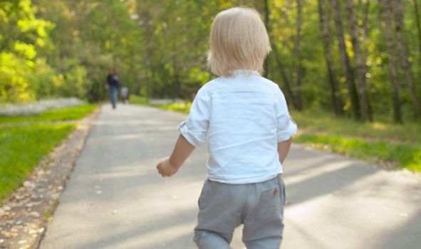 Cute toddler walking along the road in the park. Early autumn, yellow leaves on the road. Rear view