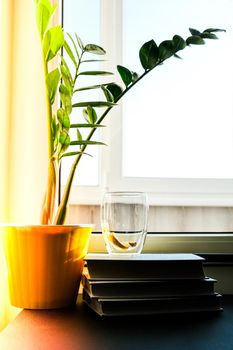 A cup of hot tea with lemon is on the windowsill on a pile of books, steam comes out of the cup. Yellow flower pot with green plant. Sunbeam. Cozy Hygge home on windowsill