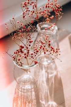 Gypsophila or baby's breath flowers Beautiful pink flower blooming with soft light. Selective focus. Spring holiday card background. Delicate aesthetics. Bloom nature backdrop.