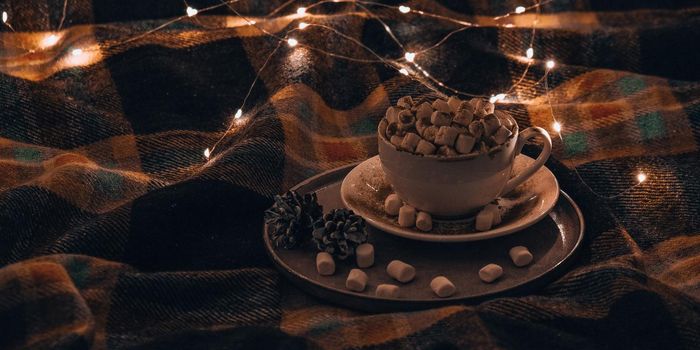 Cup with hot winter cacao and marshmallows on bed. Christmas lights. Pine cones decoration. Cozy winter days. Hygge