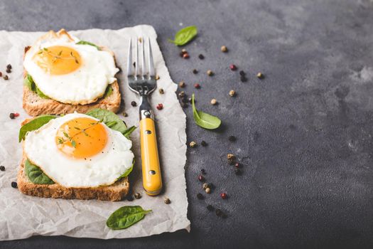 Healthy sandwich with wholegrain bread, fried egg, fresh spinach, thyme on rustic stone background. Space for text. Egg sandwich for morning breakfast. Copy space. Vegetarian lunch/snack. Close-up