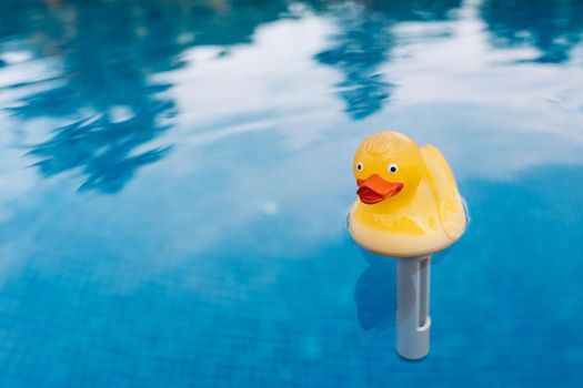 yellow rubber duck toy in the water of a swimming pool. moving water texture. Pool background with floating rubber duck. to use text. Natural light outside. Sunny day.