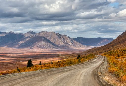 Yukon wilderness in Orange and Purple Foiliage